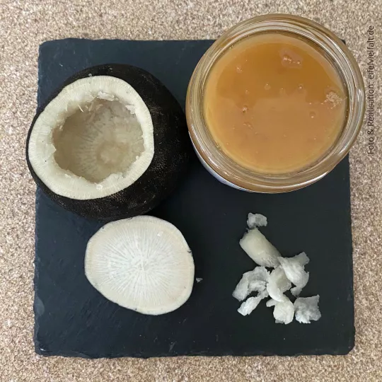 schwarzer Rettich ausgehöhlt mit Honigglas auf Schiefertafel von oben schwarzer Rettich ausgehöhlt mit Honigglas auf Schiefertafel von oben