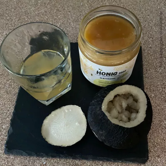 selber gemachter Hustensirup im Glas mit Honig und schwarzem Rettich auf Schieferplatte selber gemachter Hustensirup im Glas mit Honig und schwarzem Rettich auf Schieferplatte