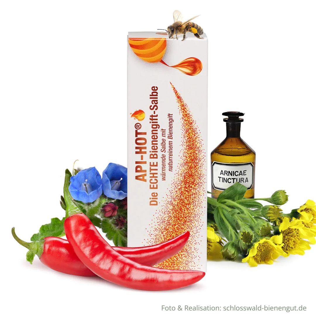 Bienengiftsalbe 50ml Api-Hot in Verpackung umringt von Deko Chili Kräuter Apotheker-Flasche