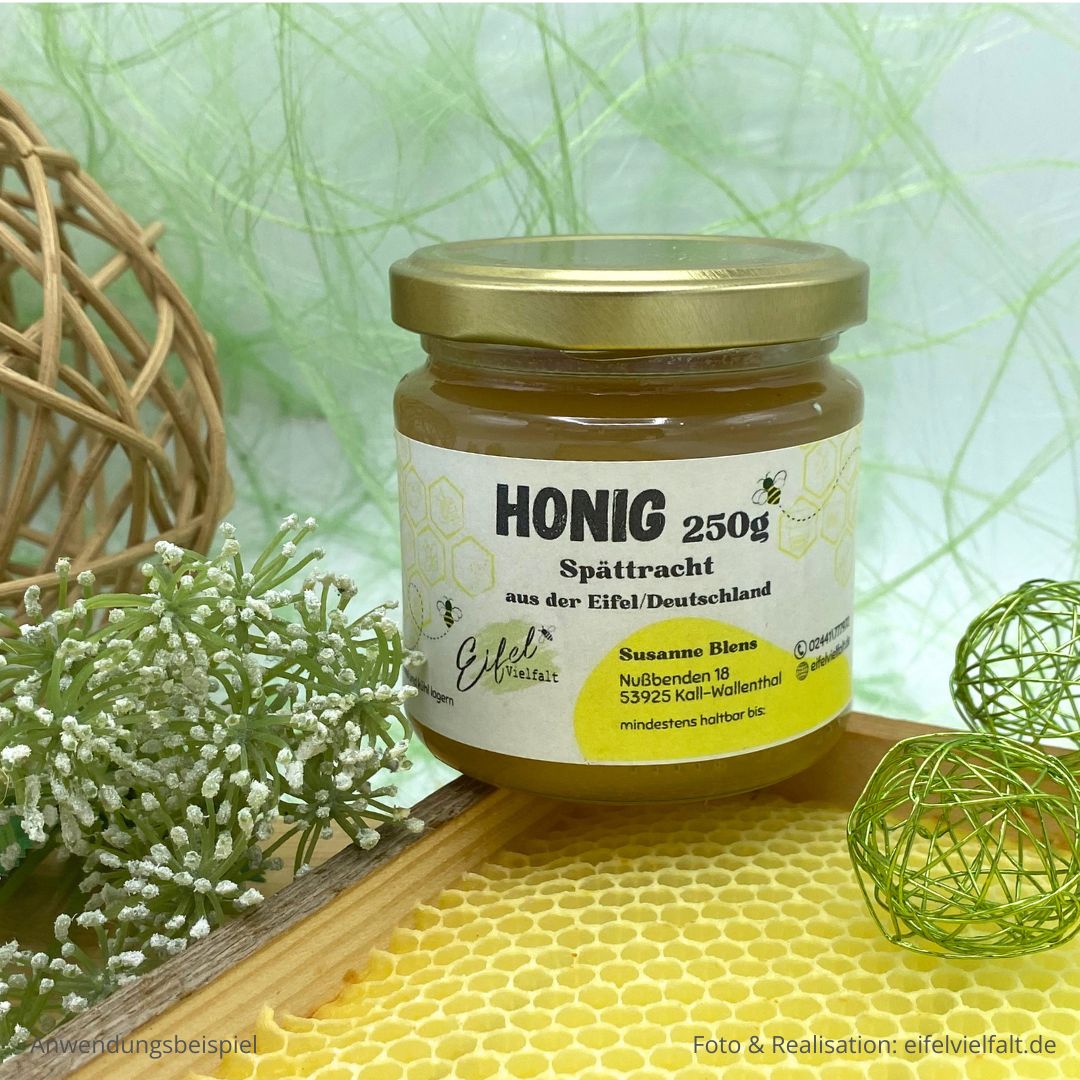 Bienenhonig 250g als Einzelglas mit Spättracht Eifelhonig Sommerblütenhonig dekoriert auf einer Wabe mit einer Mittelwand und Kräutern